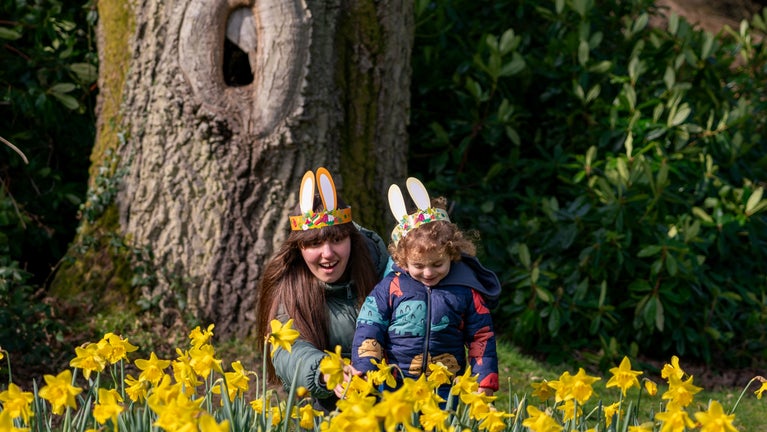Children exploring the daffodils in the garden